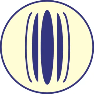 torrette konus impact system