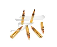 ,223 Rem. Magtech FMC 55gr 223A . 44352000