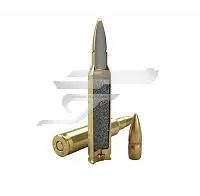 ,223 Rem. Magtech FMC 55gr 223A . 44352000