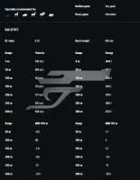 ,300 Win. Mag. RWS UNI Classic 11,7g , Hunting 180gr