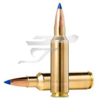 ,300 Win. Norma Bondstrike 20176332 . 180gr 11,7g