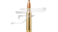 ,308 Win. Norma Oryx Nosler No. 20176352 11,7g / 180gr