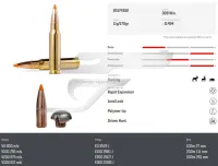 ,308 Win. Norma Tipstrike 20174352 . 11g 170 gr.