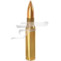 ,308 Win.Lapua FMJ 8,0g 123gr. 4317527