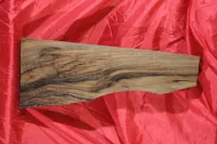 D kategória - Dupla agyfák (kisaggyal együtt)