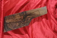 E kategória - Bock agyfák (kisaggyal együtt)