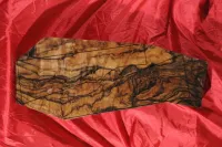 G kategória - Bock agyfák (kisaggyal együtt)