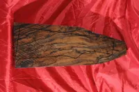 G kategória - Dupla agyfák (kisaggyal együtt)