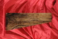 G kategória - Dupla agyfák (kisaggyal együtt)