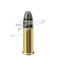 ,22 LR. RWS Special Match 2,6g 40gr . Lőszer