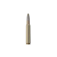 30-06 Springf. RWS Evolution Power Bonde . 11,9g 184gr.
