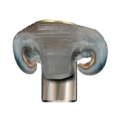 30-06 Springf. RWS Evolution Power Bonde . 11,9g 184gr.