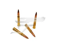 303 British PRVI Partizan FMJBT 174gr